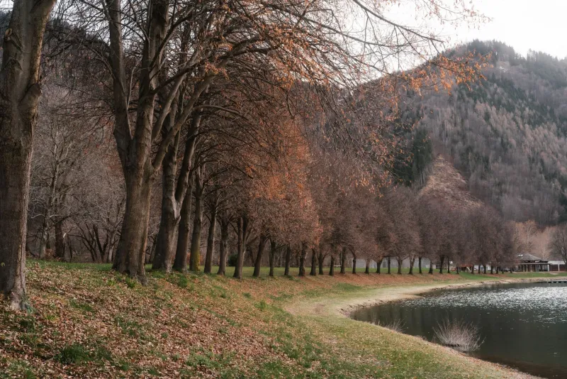 Four Seasons, One Place: How Visiting the Same Destination Year-Round Unlocks Its True Soul