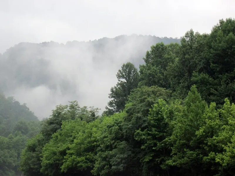 Same Place, Different You: The Transformative Power of Returning to America's Forgotten Corners